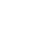 Skis shipped icon flake