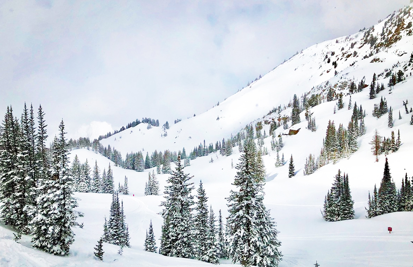 Top ski resort in Montana is Whitefish, Montana