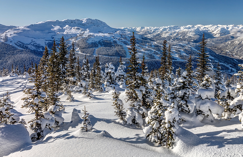 The best shot ski slope is Whistler, Blackcomb in Canada