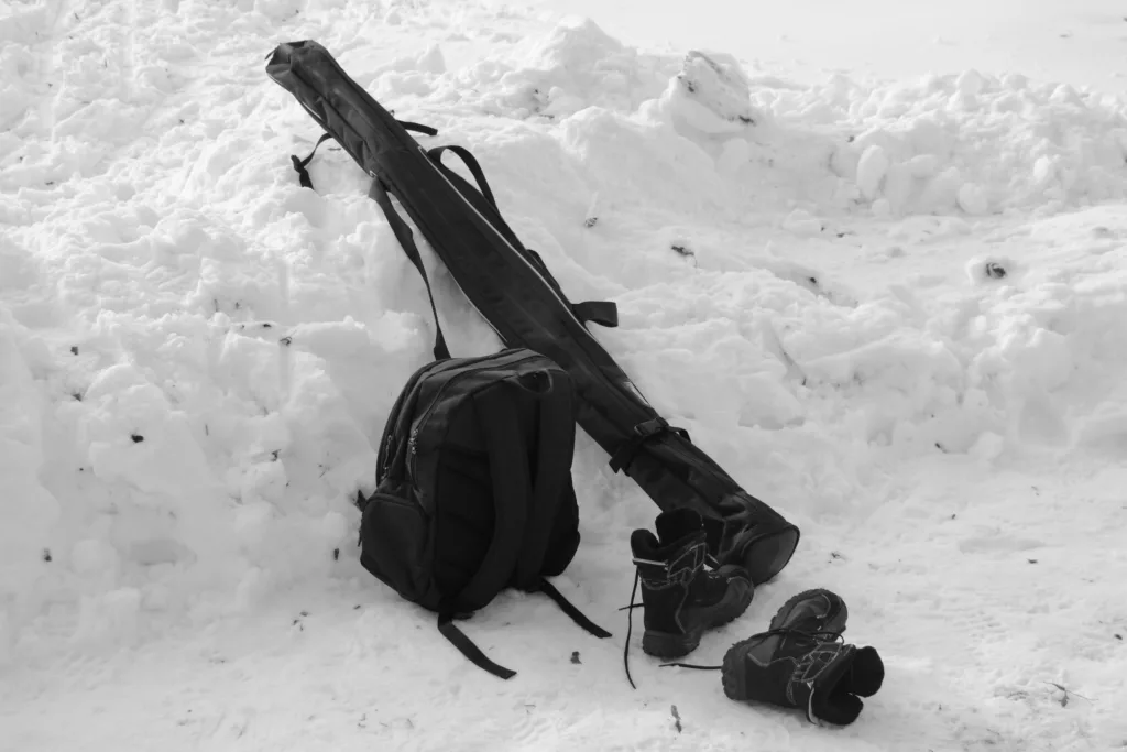Ski Travel Bag