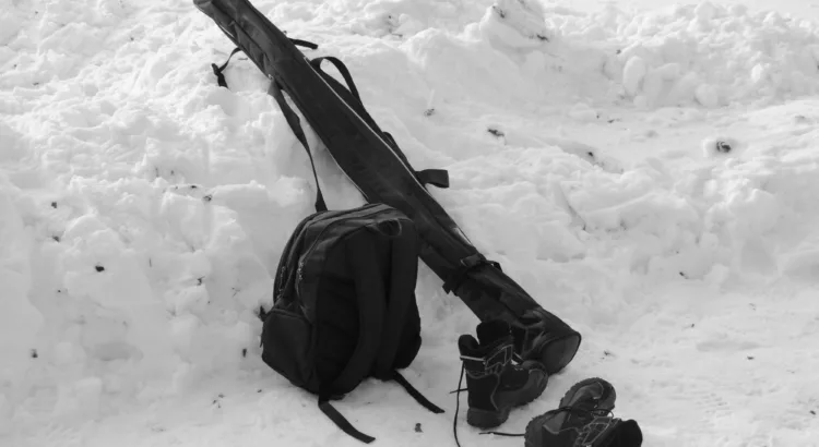 Ski Travel Bag