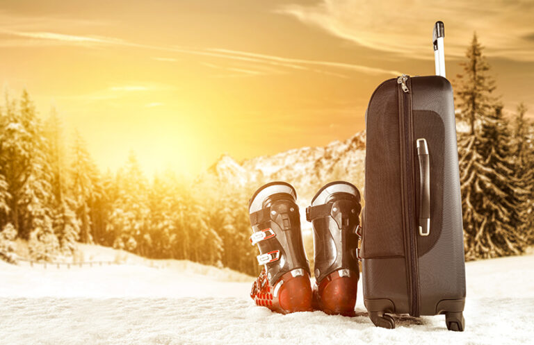 best ski bags for air travel