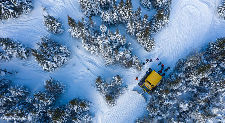 Cat skiing