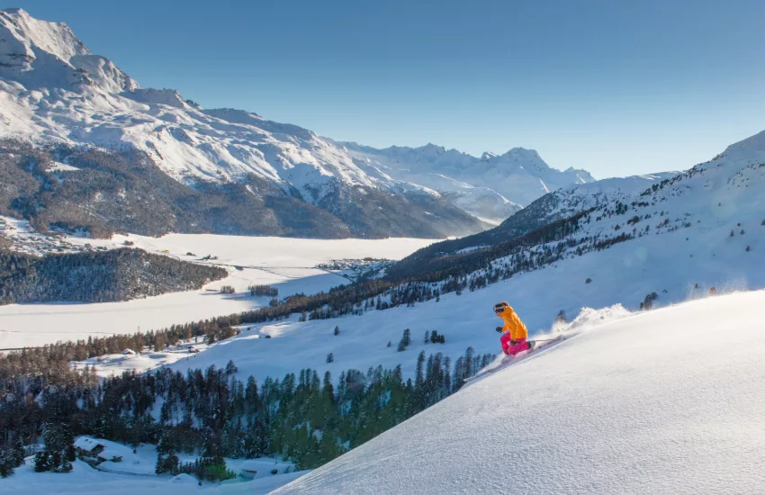 telemark skiing